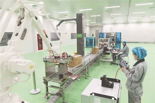 牡丹江民營經濟發展進入快車道 技術服務驅動新動能